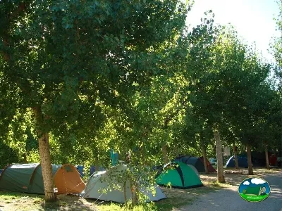 Tiendas de acampada bajo árboles frondosos del Camping El Puente, Rodellar (Huesca)
