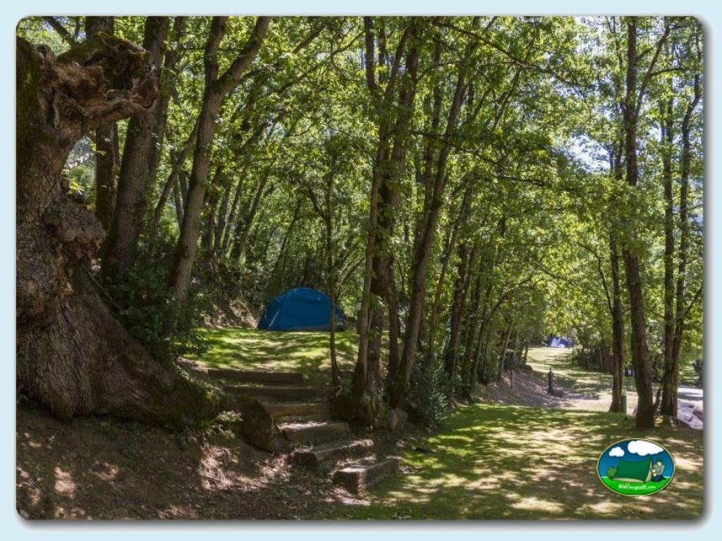 Camping Gavín foto de Parcelas&nbsp;