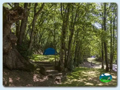 Parcela bajo árboles con tienda de acampada del Camping Gavín, Gavín (Huesca)