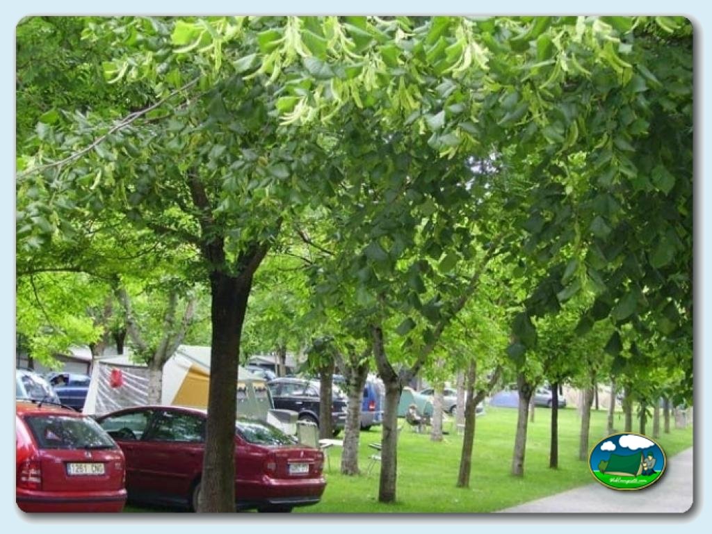 Camping Oto foto de Parcelas