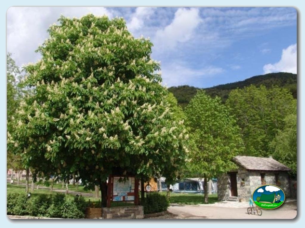 Camping Oto foto de Interior camping