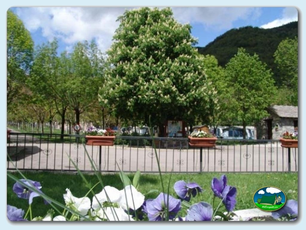 Camping Oto foto de Interior camping