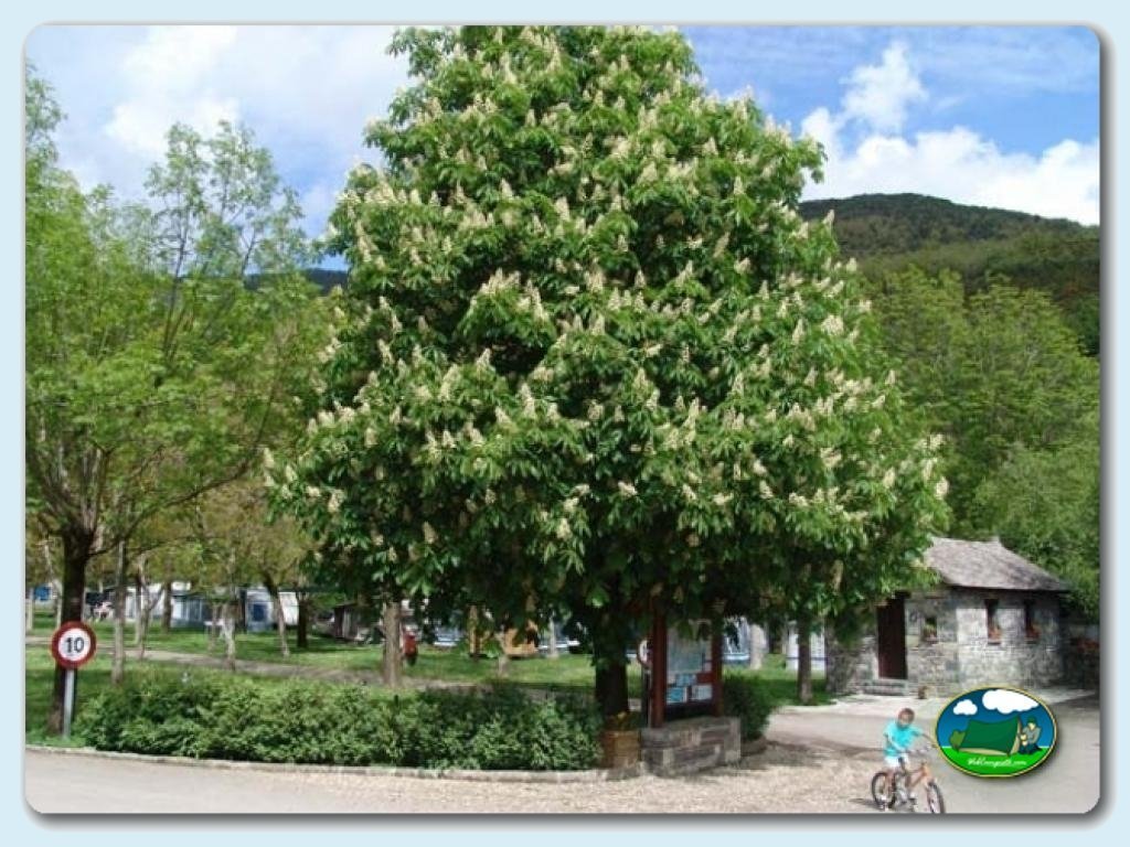 Camping Oto foto de Interior camping