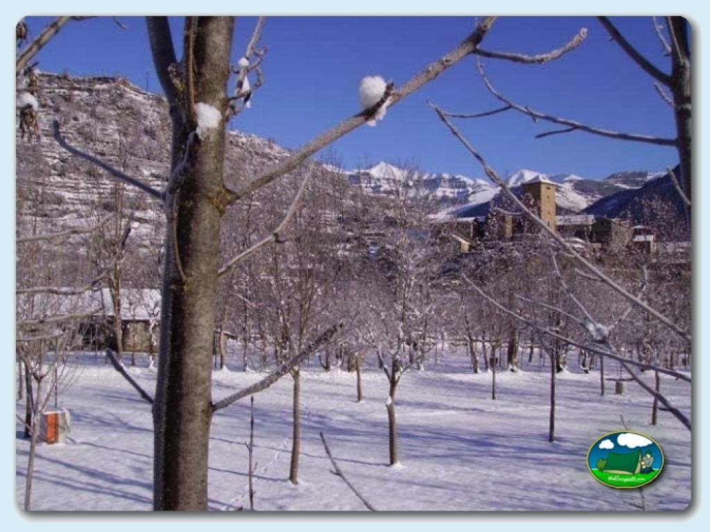 Camping Oto foto de Interior camping