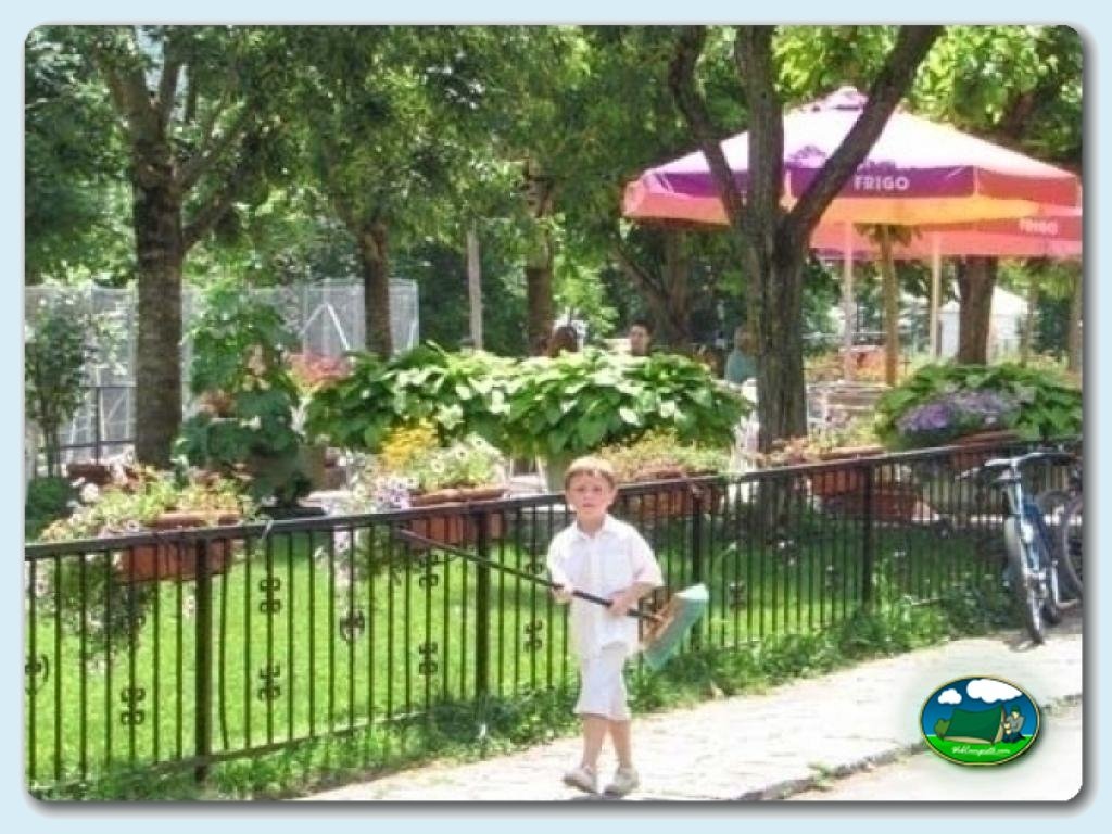 Camping Oto foto de Terraza