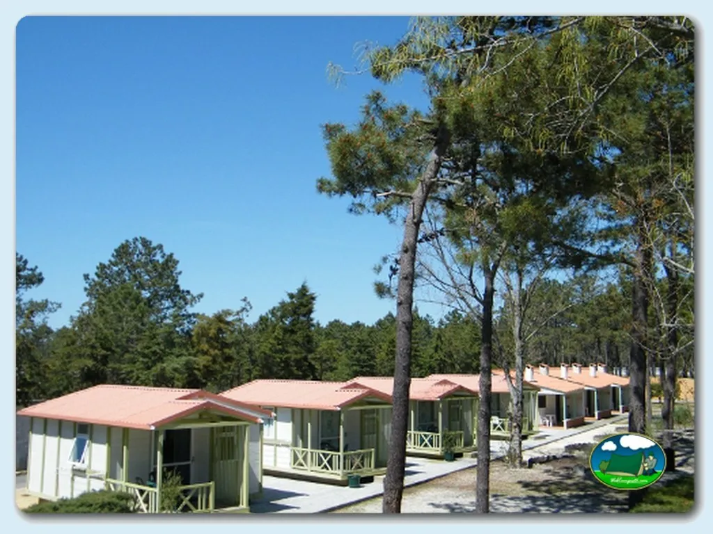 Camping Vila Caia en Mira