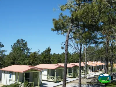 Mobil-home con vistas al bosque de pinos del Camping Vila Caia, Mira (Coimbra)