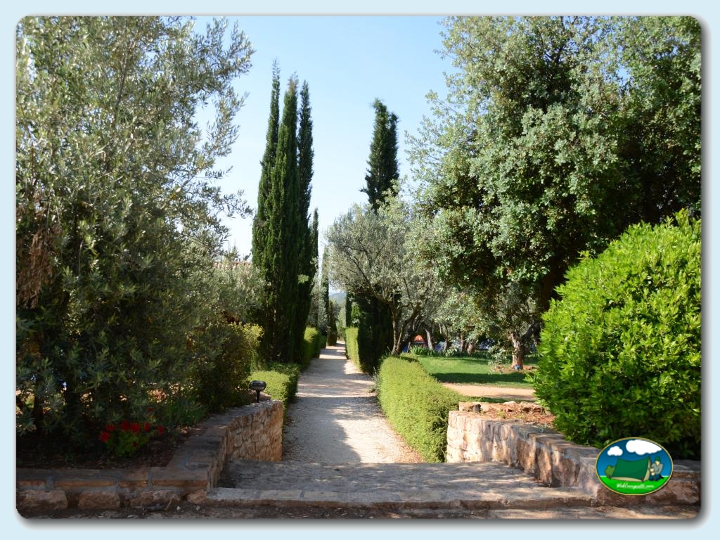 Camping Alquézar foto de Camping