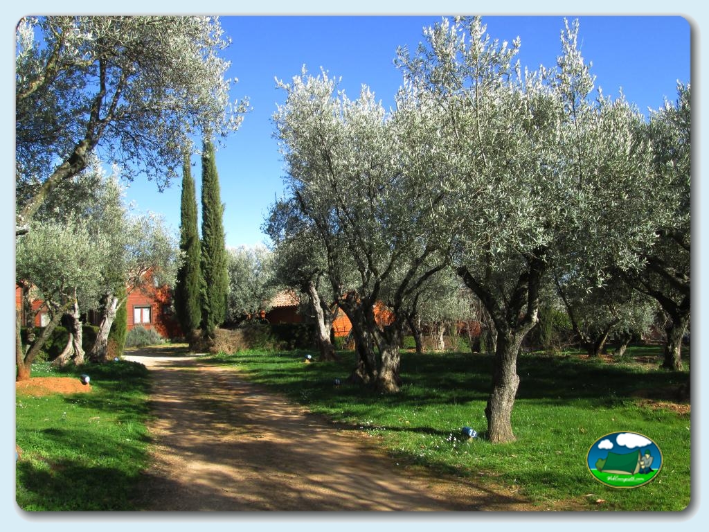 Camping Alquézar foto de Camping