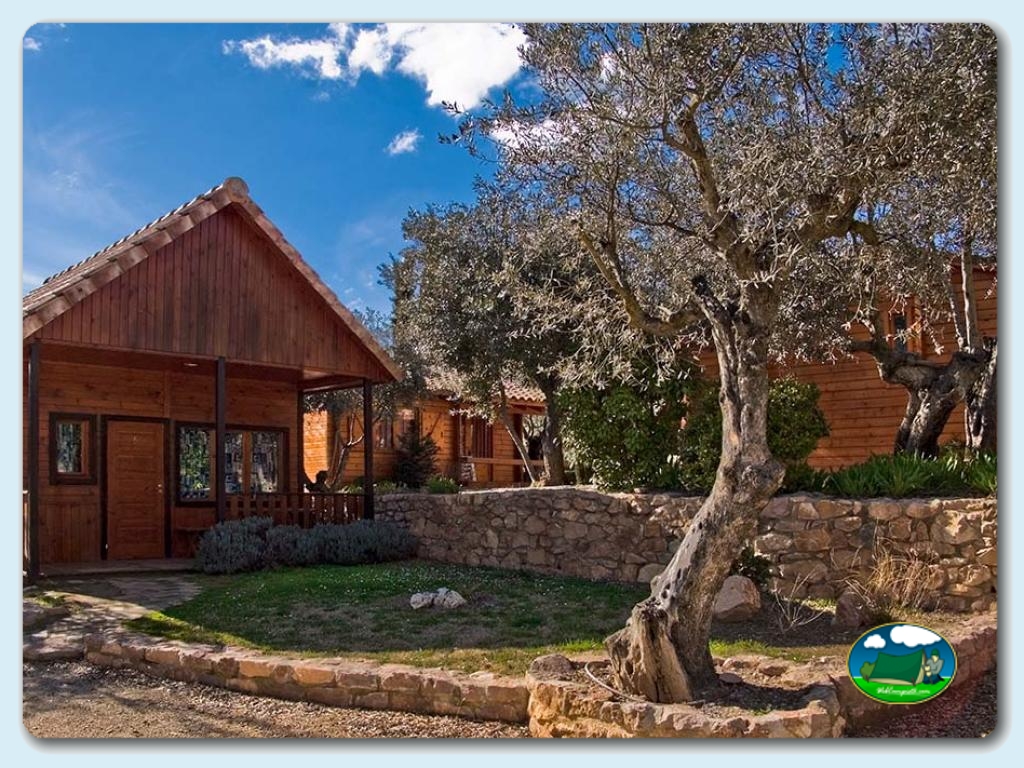 Camping Alquézar foto de Camping