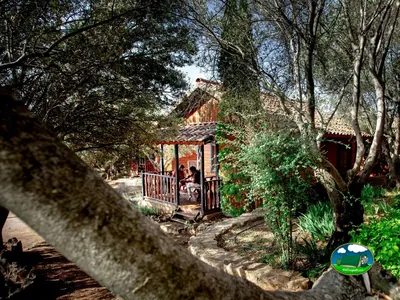 Bungalow entre árboles con porche y vistas al bosque del Camping Alquézar, Alquézar (Huesca)