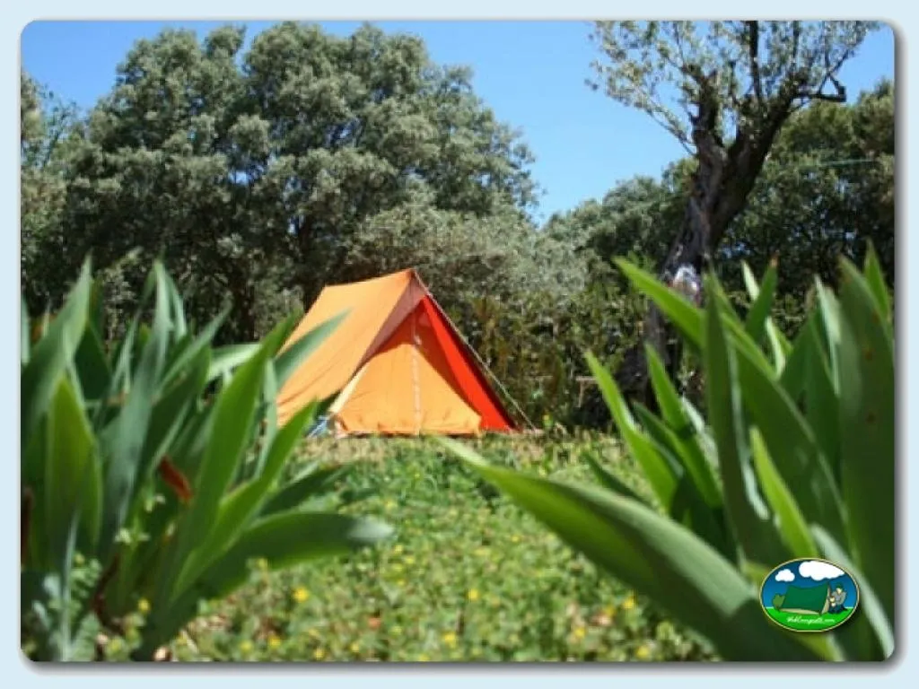 Tienda de acampada entre árboles y vegetación del Camping Alquézar, Alquézar (Huesca)
