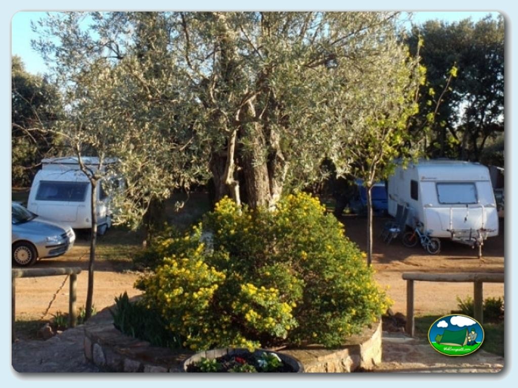 Camping Alquézar foto de Camping