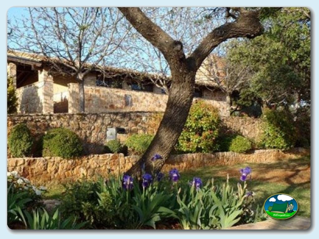 Camping Alquézar foto de Camping