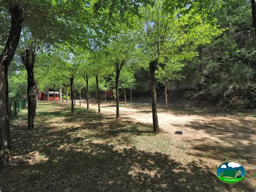 Parcela arbolada con sombra natural del Camping Lecina, Lecina (Huesca)