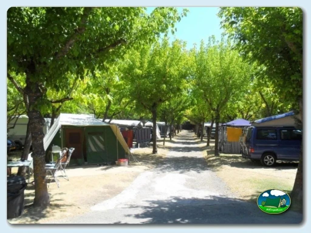 Parcela con tienda de acampada entre árboles del Camping Peña Montañesa, Labuerda (Huesca)