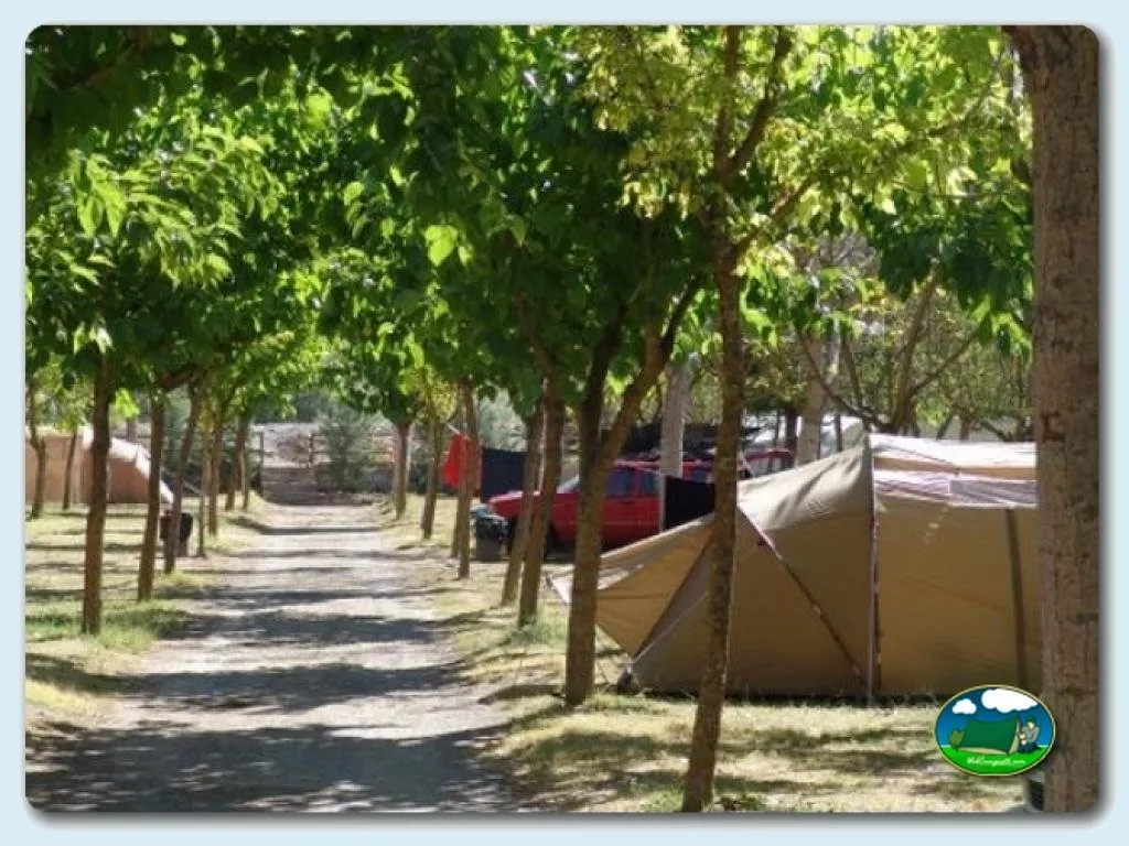 Parcela con tienda de acampada bajo árboles del Camping Peña Montañesa, Labuerda (Huesca)
