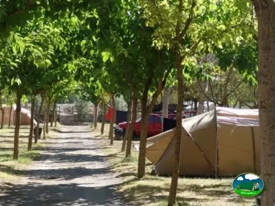 Parcela con tienda de acampada bajo árboles del Camping Peña Montañesa, Labuerda (Huesca)