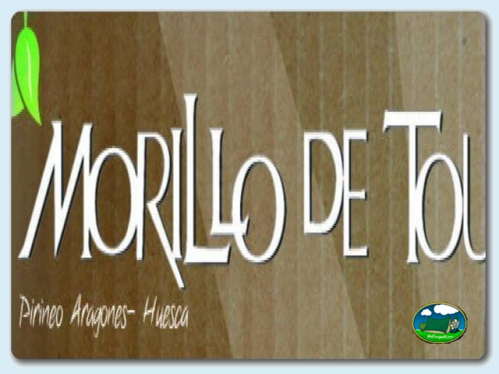 Camping 1 de Mayo en Morillo de Tou