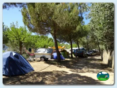 Parcela con tienda de acampada y caravana bajo pinos del Camping Lago Barasona, La Puebla de Castro (Huesca)