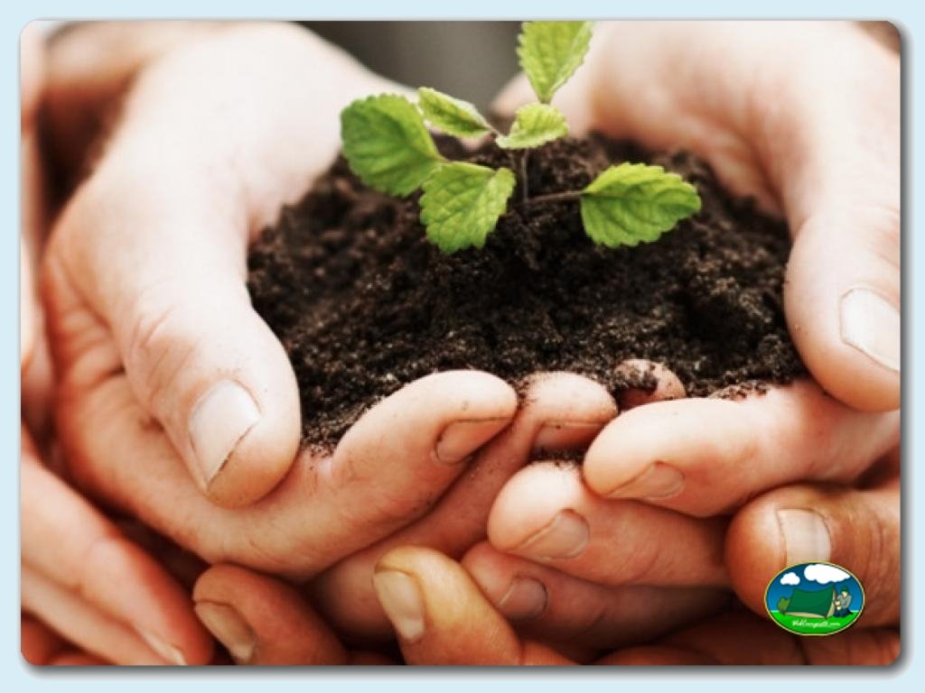 Camping Lago Barasona