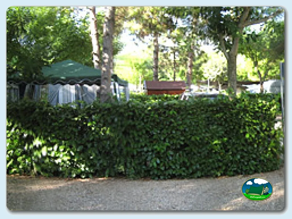 Camping La Ribera Salada en Ogern (Bassella), Lleida, Lleida - imagen 3