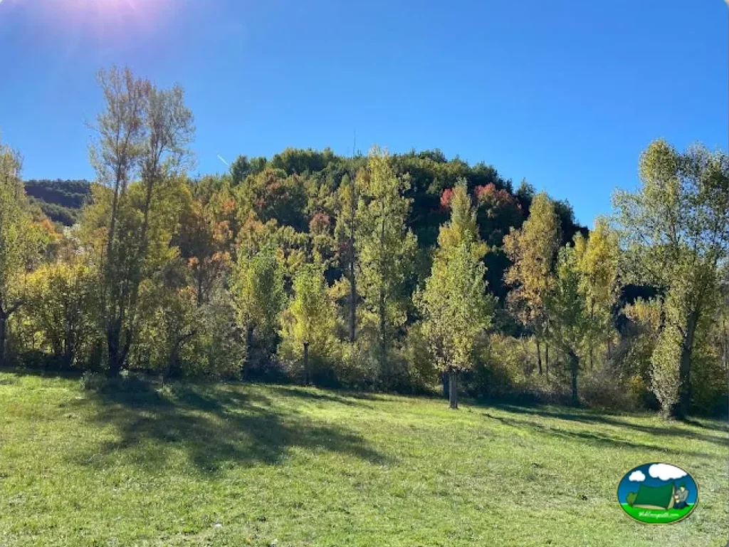 Parcela con vistas a bosque y montaña del Camping Sol i Fred, Les Iglésies (Lleida)
