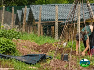 Parcela con huerto y estructura de cultivo del Camping Laspaúles, Castejón de Sos (Huesca)