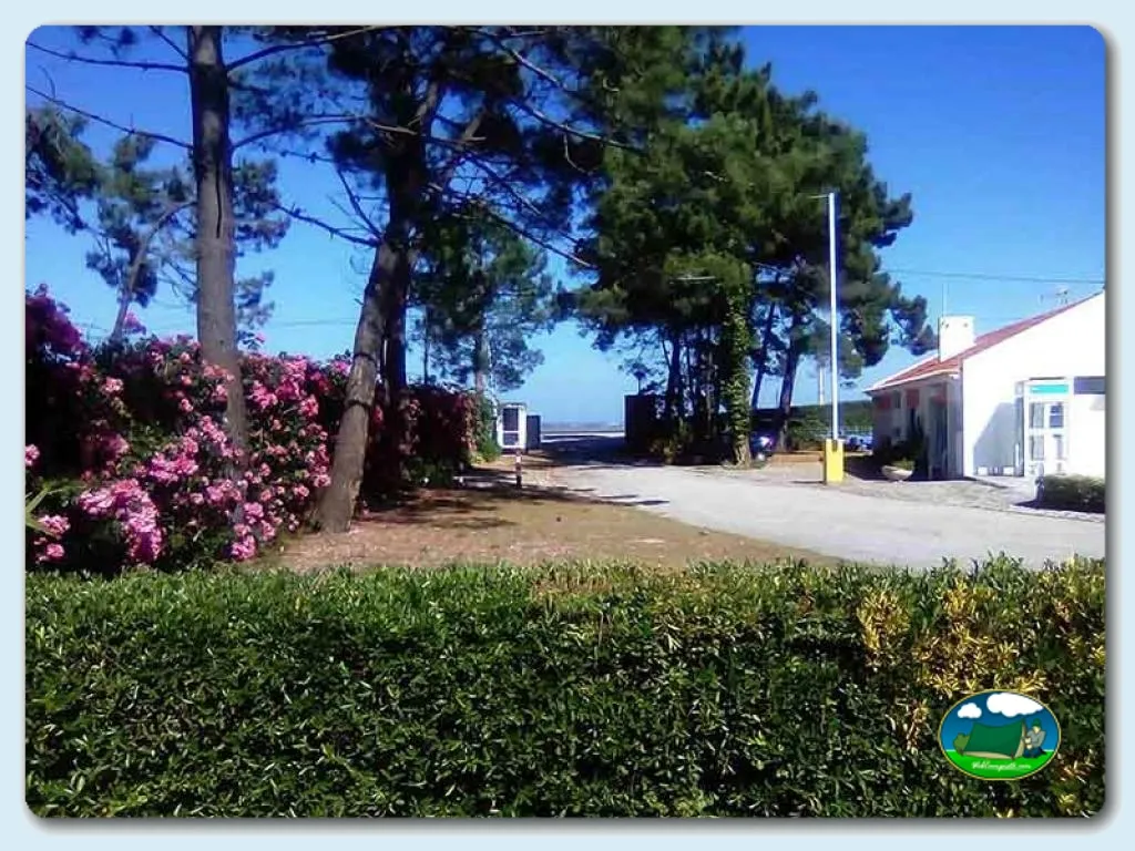 Entrada del recinto con flores y árboles del Camping Orbitur S. Jacinto, Aveiro (Aveiro)