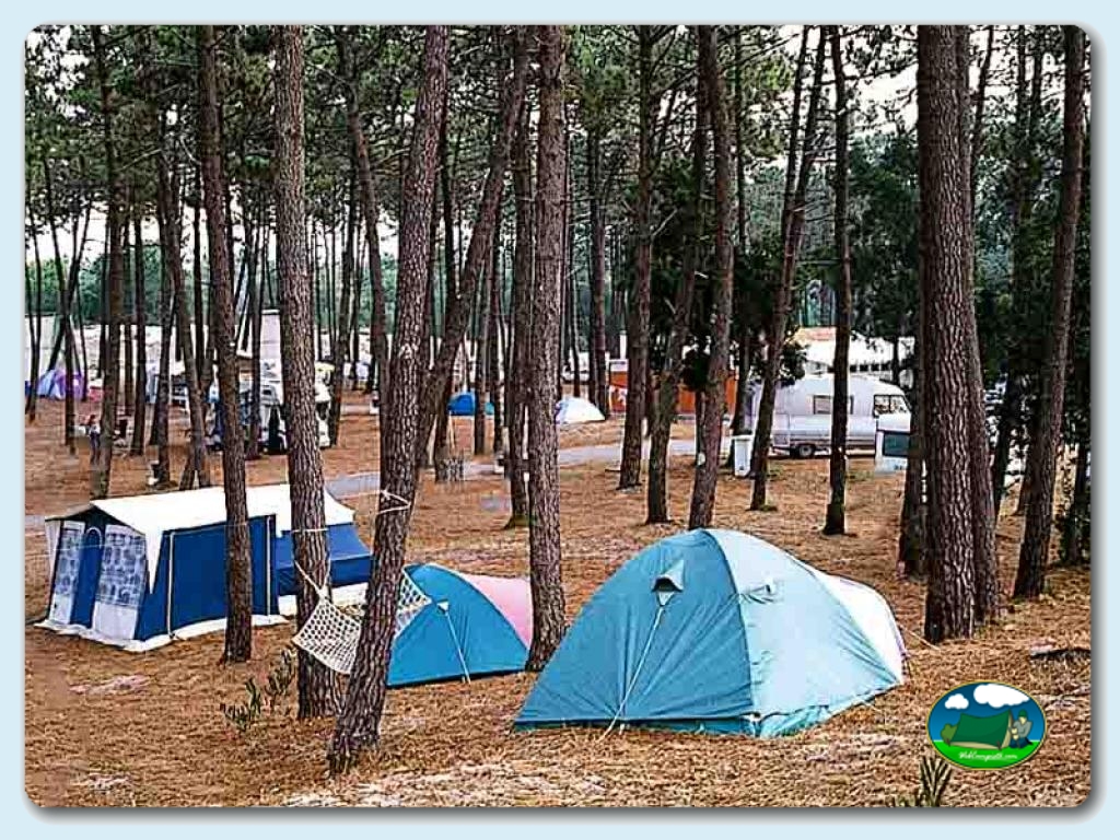 foto del camping Camping Orbitur S. Jacinto