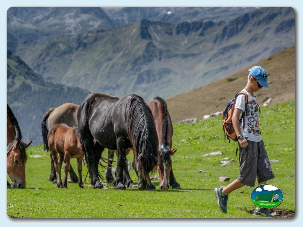 Camping Bedura Park foto de Val D&acute;Aran