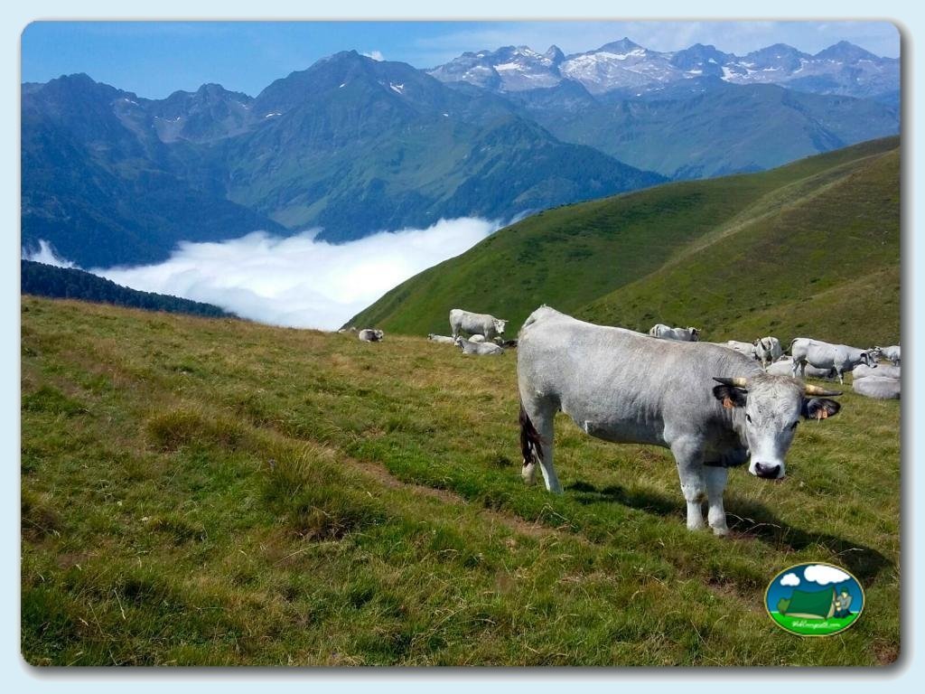 Camping Bedura Park foto de Val D&acute;Aran