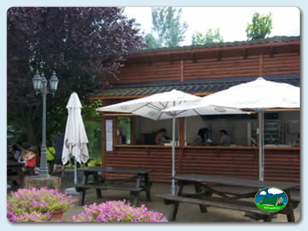Restaurante bar con terraza sombreada y flores del Camping La Borda del Pubill, Ribera de Cardós (Lleida)