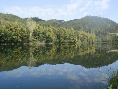 Lago con vistas a la montaña boscosa del Camping Penacova, Penacova (Coimbra)