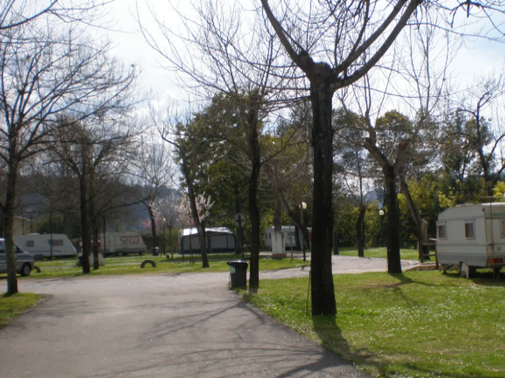 Parcelas arboladas con mobil-homes del Camping Penacova, Penacova (Coimbra)