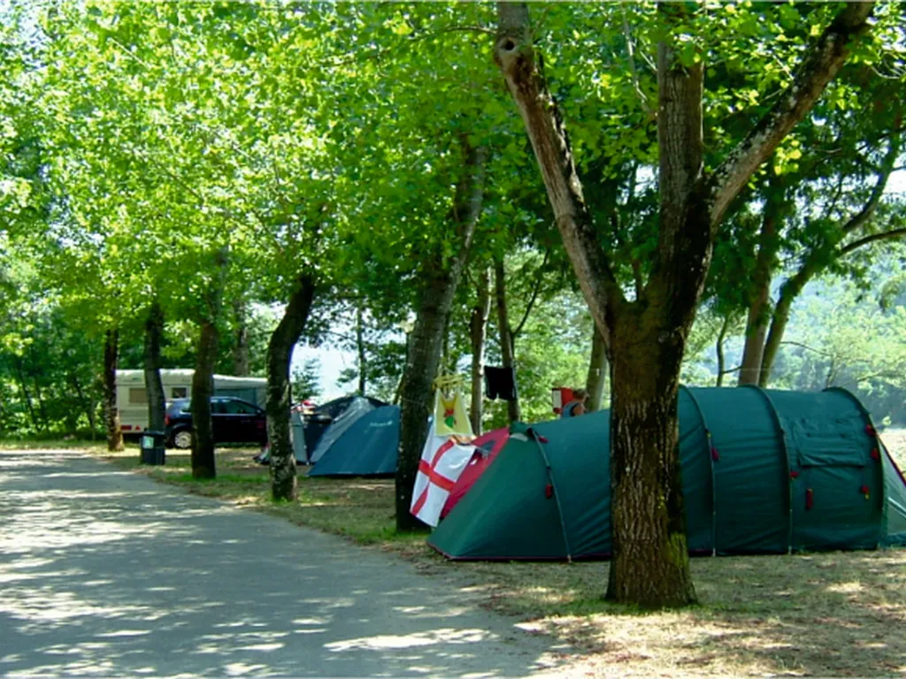 Tiendas de acampada bajo árboles de sombra del Camping Penacova, Penacova (Coimbra)