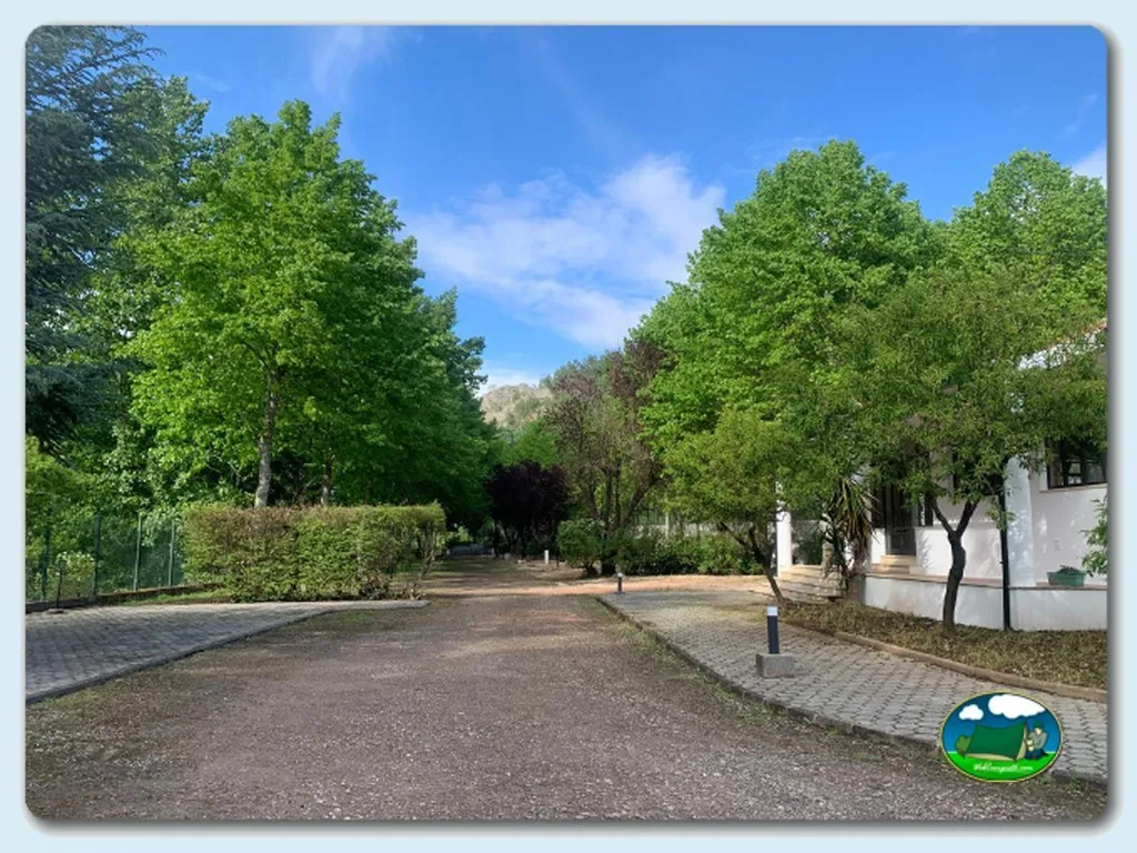Parcela arbolada con acceso y montaña al fondo del Camping Penacova Municipal, Penacova (Coimbra)