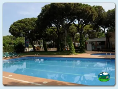 Piscina con vistas a pinar y zona de descanso del Camping Vora-Mar, Blanes (Girona)