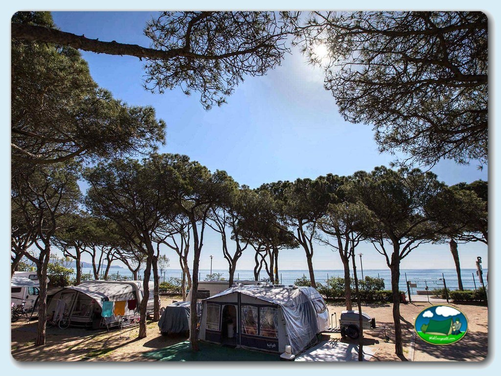 foto del camping Blanes