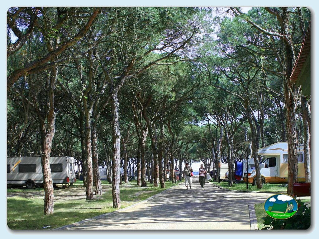 foto del camping Blanes