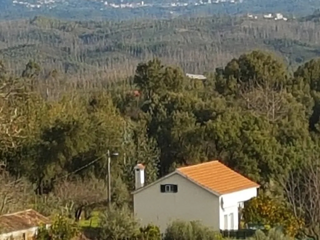 Bungalow con vistas a la sierra boscosa del Camping Quinta Portugo, Pampilhal (Castelo Branco)