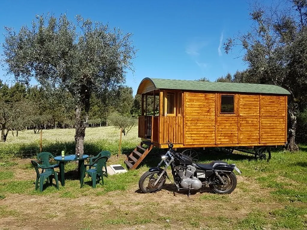 Glamping cabaña de madera con parcela y olivos del Camping Quinta Portugo, Pampilhal (Castelo Branco)
