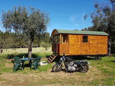Glamping cabaña de madera con parcela y olivos del Camping Quinta Portugo, Pampilhal (Castelo Branco)