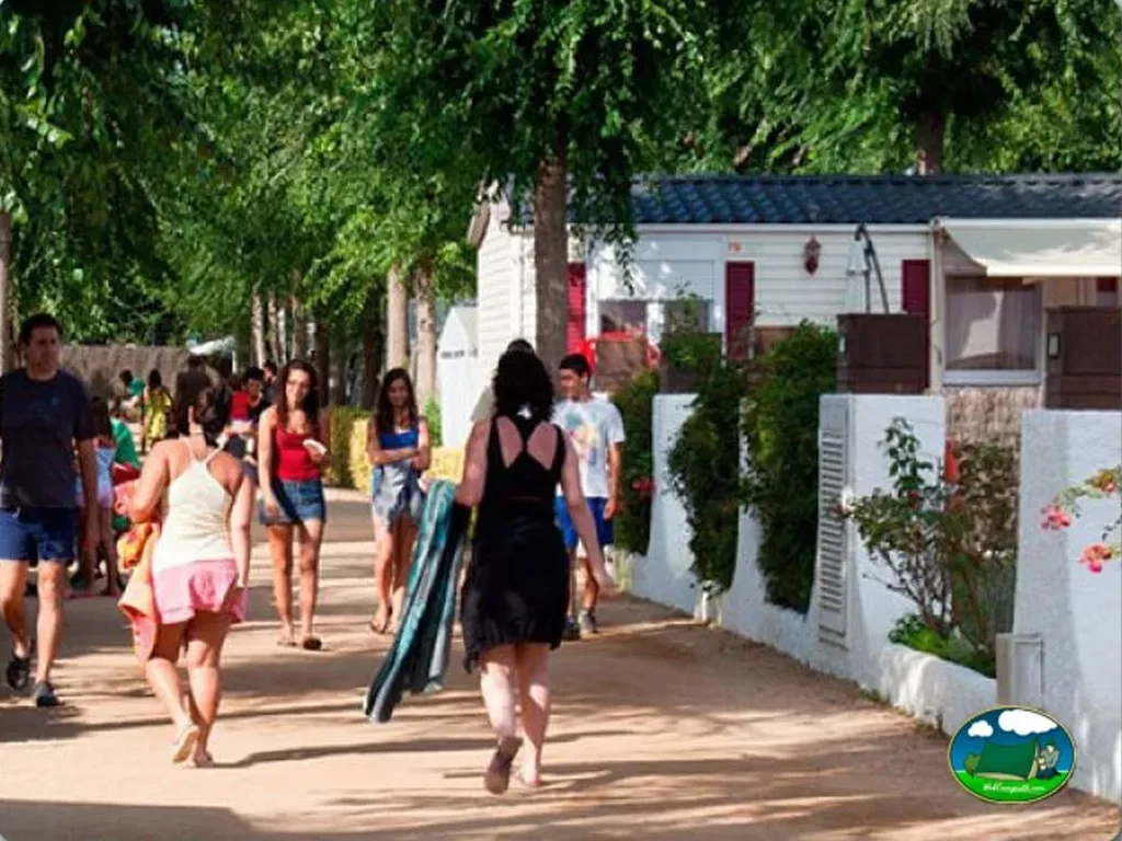 Camping Blanc D`Eivissa en Blanes, Girona - imagen 5