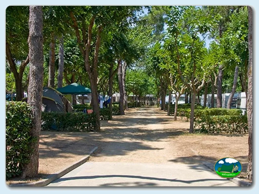 Parcela arbolada con tienda de acampada del Camping Solmar, Blanes (Girona)