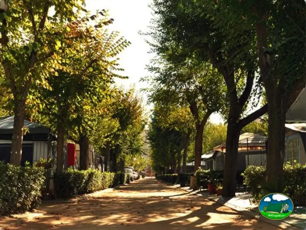 Camping Cavall de Mar en Blanes, Girona - imagen 3
