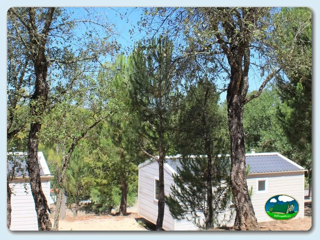 Mobil-home entre árboles y sombra del Camping Albufeira do Maranhão, Avis (Portalegre)