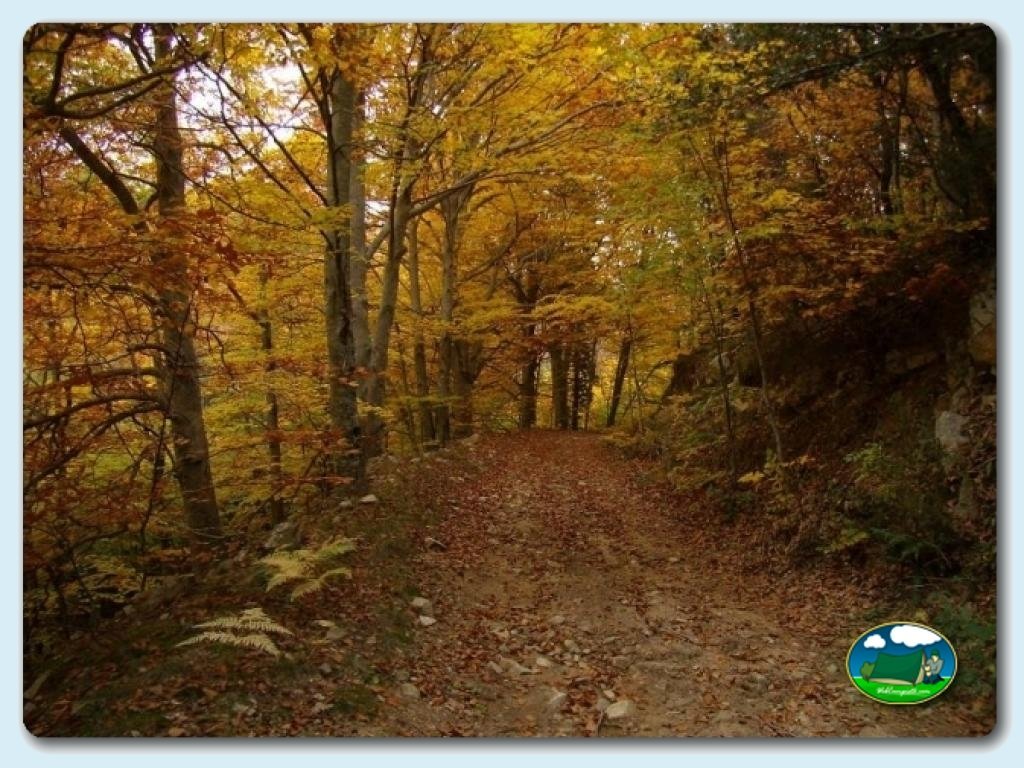 foto de Camping La Balma (Espinelves) 