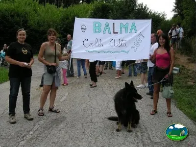 Plano del recinto del Camping La Balma, Espinelves (Girona)