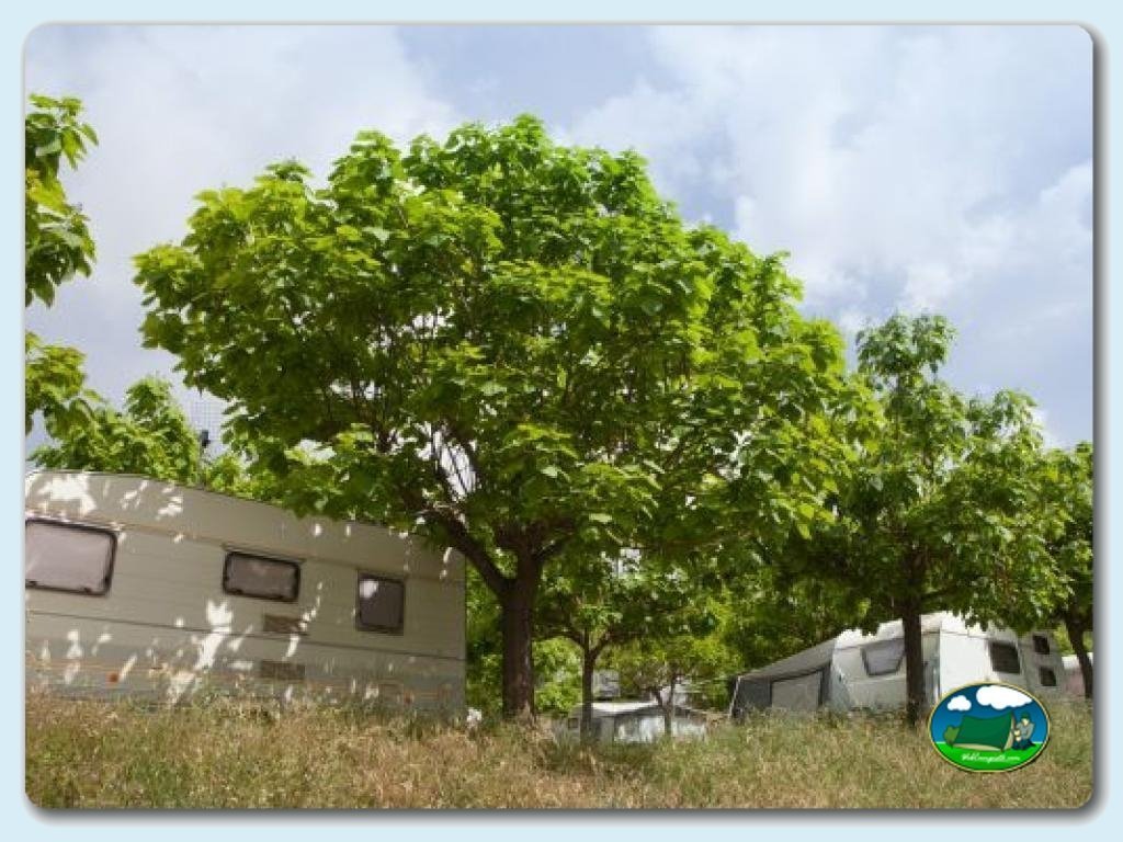 foto del camping Camping Campalans